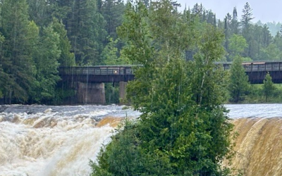 Growing A Community-Led Movement, One Year at a Time