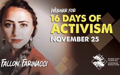 Webinar for 16 Days of Activism